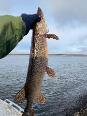 Жители села Снежное заготавливают рыбу и оленину для участников СВО