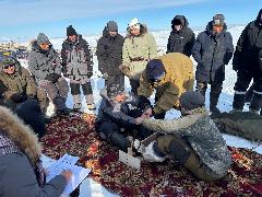 Гонки на оленьих упряжках «Ръилет-2025»: возрождение традиций в Усть-Белой!