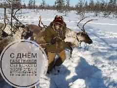 Поздравление Главы района с Днем сельского хозяйства и перерабатывающей промышленности