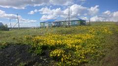 Сохранение экологического благополучия 