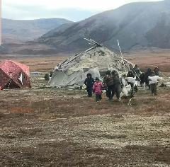 Дети Анадырского района, проводившие лето в оленеводческих бригадах, вернулись к местам учебы