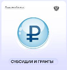 Субсидии и гранты
