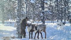 Поздравляю с Международным днём коренных народов мира!