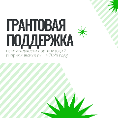 Финансовая поддержка субъектов предпринимательской деятельности и социально ориентированных некоммерческих организаций Анадырского муниципального округа в 2025 году
