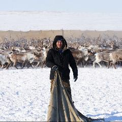 День работников сельского хозяйства и перерабатывающей промышленности