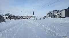 Когда зима щедра на дары