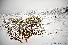 Человек, потерявшийся в Анадырской тундре, найден. В медпомощи не нуждается