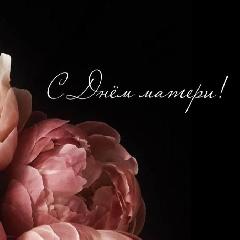 Поздравление главы Анадырского района с Днем матери