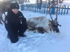 Капитан полиции из села Ламутское борется за звание «Народный участковый»