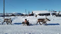 Победителем «Ръилет-2024» стал Владимир Кобелев