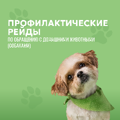 Профилактические рейды по обращению с домашними животными (собаками)