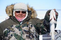 Ни хвоста, ни чешуи!