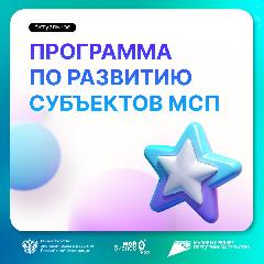 Программа по развитию субъектов МСП